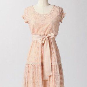 Beautiful plus-size 1910s/20s-inspired lace dress!